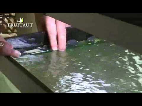 comment traiter l'eau de mon aquarium