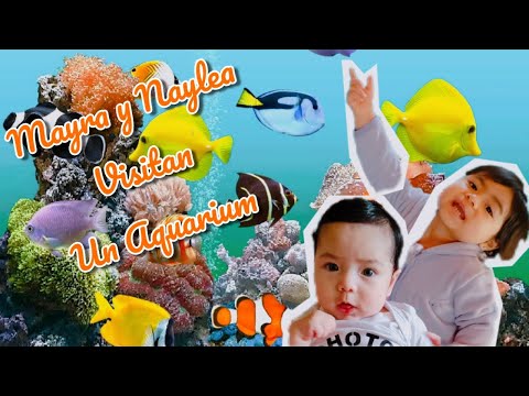Mayra y Naylea en las aventuras en un Aquarium