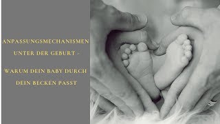 Anpassungsmechanismen unter der Geburt - Warum dein Baby durch dein Becken passt