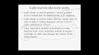 3 08 PhotosynthIntro