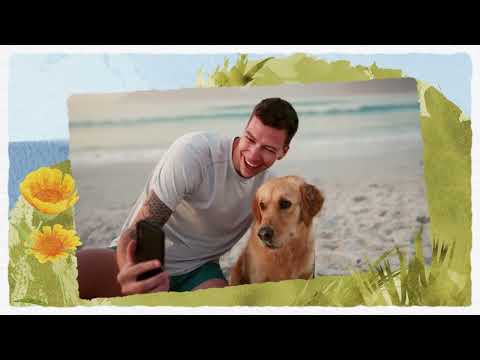 Urlaub mit Hund in den schönsten Urlaubsregionen