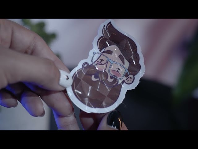 Vídeo relacionado con LACHT 2 Rollo De 1000Pcs Meme Pegatinas Divertidas, Pegatinas De Emoticonos De Gato, Duraderas De Animales De Dibujos Animados, Impermeables Personalizadas Para Fundass (A)
