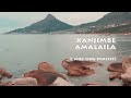 Amalaila Lyrics Video
