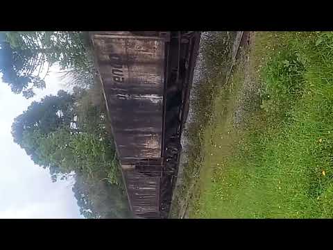 Trem de carga passando por balsa nova sentido norte do Paraná 