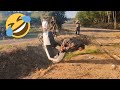 🤣🤣Best Funny Videos compilation - Fail And Pranks😂 TRY NOT TO LAUGH #7