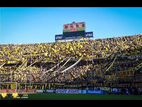 "Entrada de los bombos y hinchada (#PEÑAROL VS #Nacional de Montevideo) #CLASICO #2019" Barra: Barra Amsterdam &bull; Club: Peñarol &bull; País: Uruguay