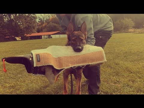 Charon Mapet - protection 7 months