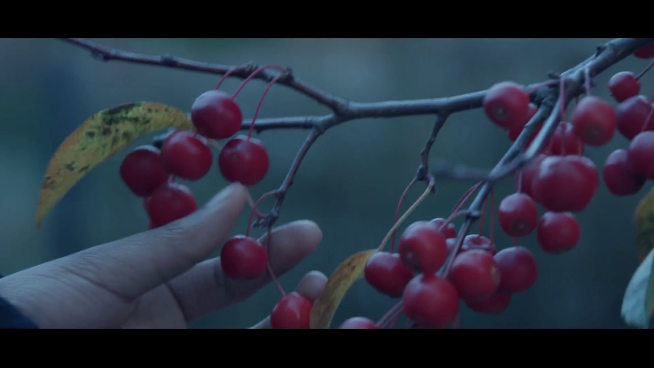 "hyphen-nation" documentary