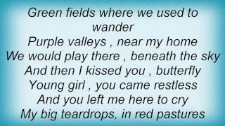 Bee Gees - Butterfly Lyrics