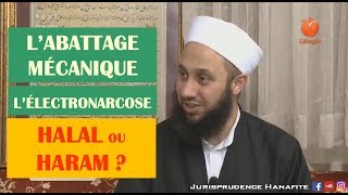 Abattage mécanique, abattage avec électronarcose - Shaykh Fatih Kalender