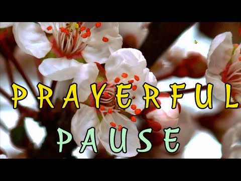 PP  03 22 21  Stretching