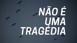 Video : No es una tragedia