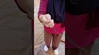 Download lagu pen4mpakan s0s0k rangk0n9 ek0r bercab4n9 #viralshorts #shorts mp3