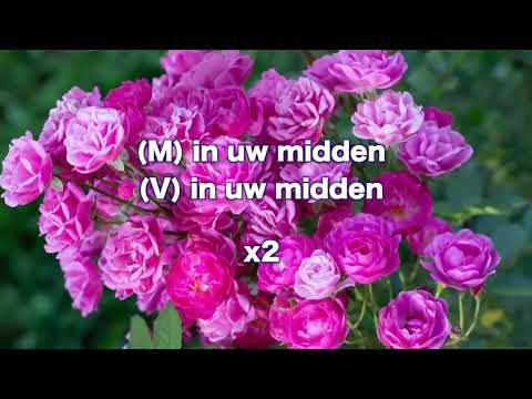 Opwekking 301 Wij verklaren, Gods koninkrijk is hier