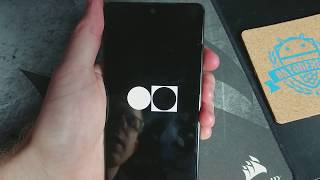 [HOW TO] Get Android Oreo on the Essential Phone & Quick Overview