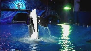 Joy to the World 12/31/14 (2)