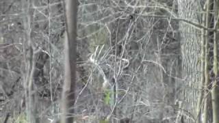preview picture of video 'Finchburg 10 Pt.'