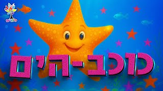 חיות לילדים | כוכב ים - עולם החיות - בהמחשת AI מיוחדת (ארגון ענפים) - התמונה מוצגת ישירות מתוך אתר האינטרנט יוטיוב. זכויות היוצרים בתמונה שייכות ליוצרה. קישור קרדיט למקור התוכן נמצא בתוך דף הסרטון
