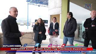 MERKADER Derneği Mutili Zeytin Yağı Fabrikasını Ziyaret etti.