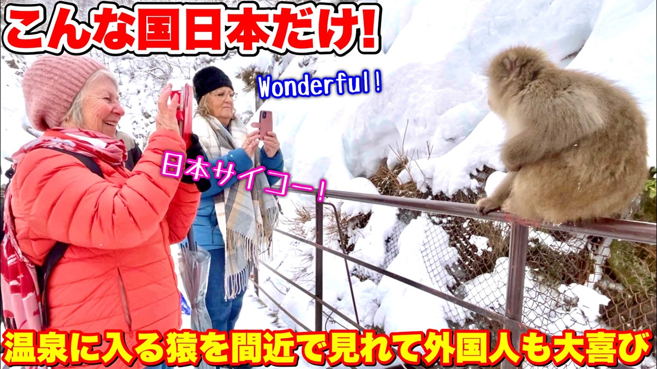 「一生の思い出だわ…」世界で日本にしか無い光景を見に外国人観光客が大殺到！