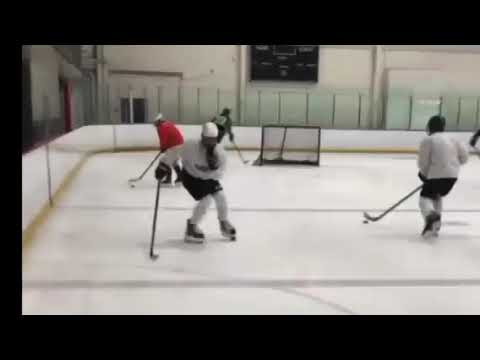 The Scouting News - Nolan Beauchain - Skills