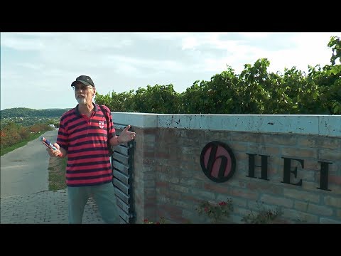 Way To Heimann Winery | Szekszárd Jazz Club Project