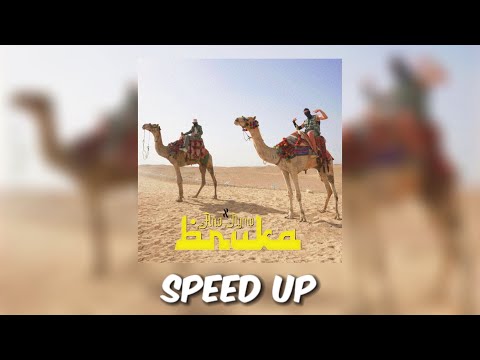 ANO x NYMO - BRUKA [ SPEED UP ]