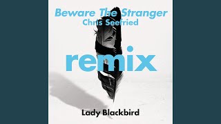 Beware The Stranger (Chris Seefried&#39;s Ambient Excursion) (feat. Trombone Shorty) (Radio Edit)