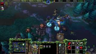 Warcraft III Reforged NE VS HU (Human) Warden and Panda Push Play