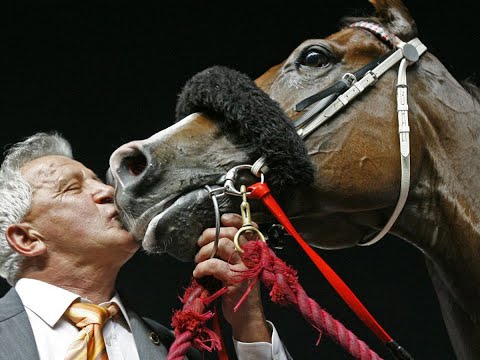 Takeover Target and Silent Witness 2006 Sprinters Stakes (G1) 1200M Nakayama Racecourse Japan
