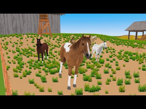 Magic Farm Animals VR 🌈 🐎🐴🎠🏇