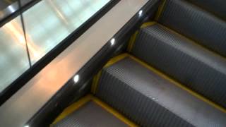 preview picture of video 'HUGE Schindler 9300 escalators in the Ellipse atrium at Revel Atlantic City, NJ'