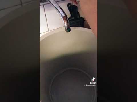 Modelliermasse aus Klopapier 🧻