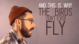 Come Wind - Birds Will Never Fly video