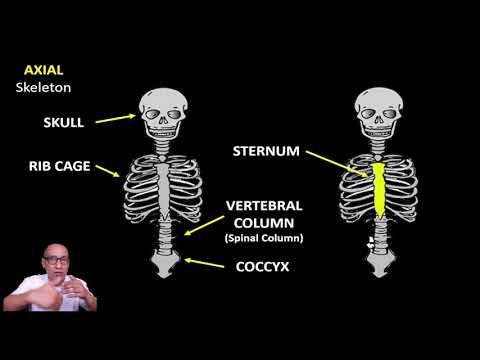 Grade 6 Science │ Quarter 2 Module 1 │ Skeletal System │ Self-Learning Module from DepEd Commons