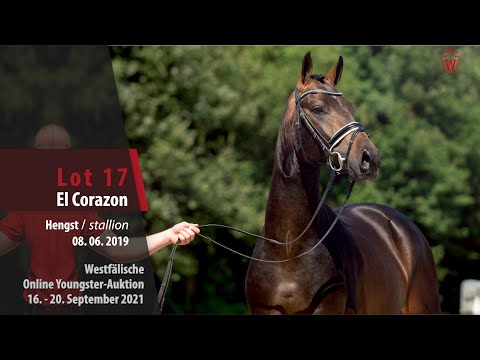 Youngster Online-Auktion Lot 17 El Corazon Hengst v. Escolar - Finest