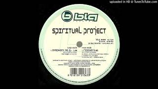 Spiritual Project - Risiko!