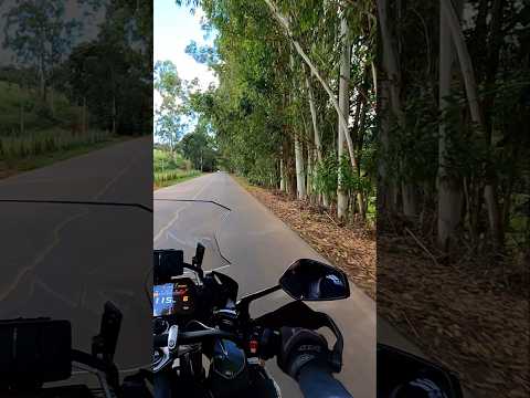 Estrada  de Cristina a Maria da Fé em MG. #estrada #moto #viagemdemoto #mototravel