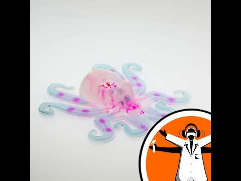 Octobot Review Video 1