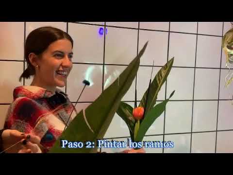 Orquidea drácula taller floral