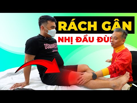 Rách Gân Nhị Đầu Đùi: Dấu Hiệu Nhận Biết Và Cách Phục Hồi