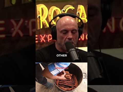 Joe Rogan Explains How Ayahuasca Is Made 🌿