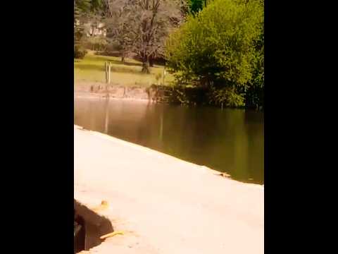 Un Embalse en Casa Grande, Córdoba, Argentina.#casagrande