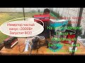 text_video Інвертор 12В 220В 3000 вт чистий (правильний) синус