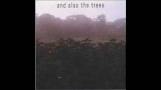 Shrine - And Also The Trees