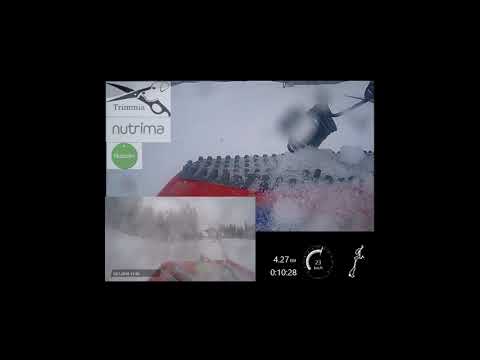 Finnish Championships Skijoring combined (pulka) - Kontiolahti 28.1.2018 - Spence