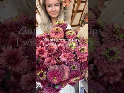 Some unconventional #zinnia growing tips for your #flower #garden! More tips in our full video! ❤️🌸