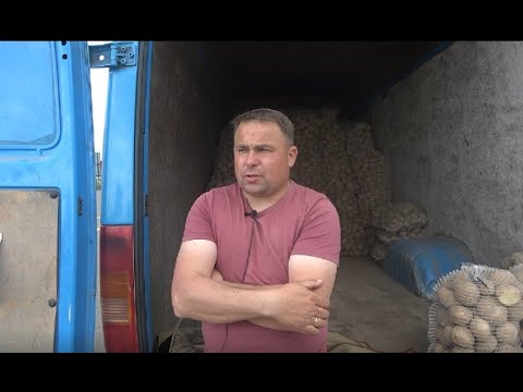 Bronisze: staniały wszystkie warzywa. Po ile są pierwsze truskawki?