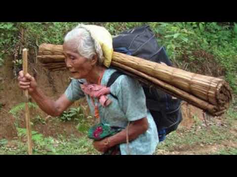 MoringAid: Superfood for War Refugees in Myanmar