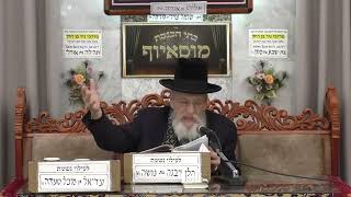 הרב שלמה בויאר | אקטואליה ופרשה | מוסאיוף (בית הכנסת מוסאיוף - ערוץ חדש) - התמונה מוצגת ישירות מתוך אתר האינטרנט יוטיוב. זכויות היוצרים בתמונה שייכות ליוצרה. קישור קרדיט למקור התוכן נמצא בתוך דף הסרטון